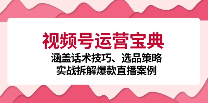 视频号运营宝典：涵盖话术技巧、选品策略、实战拆解爆款直播案例-创业资源网