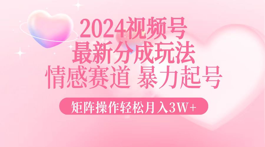 2024新视频号分为游戏玩法，情绪跑道，暴力行为养号，引流矩阵实际操作轻轻松松月入3W-创业资源网