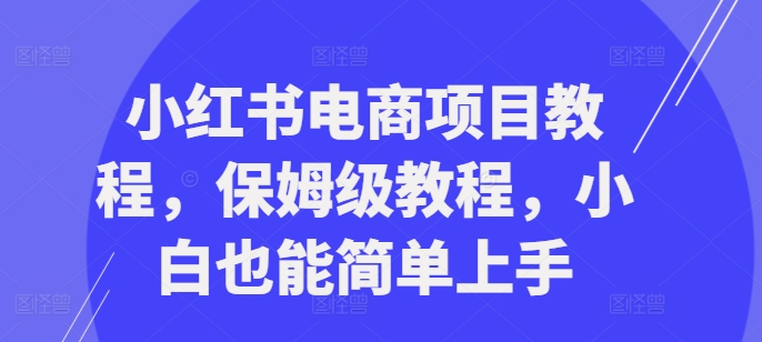 小红书电商新项目实例教程，家庭保姆级实例教程，新手也可以简易入门-创业资源网