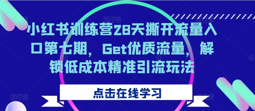 小红书的夏令营28天撕掉流量来源第七期，Get高品质总流量，开启降低成本精准引流方法游戏玩法-创业资源网