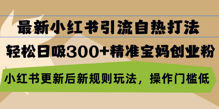 最新小红书引流自热打法，轻松日吸300+精准宝妈创业粉，小红书更新后新…-创业资源网