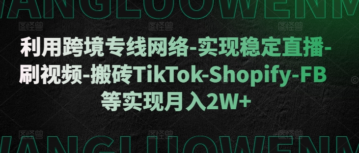 运用跨境专线互联网-实现稳定直播间-刷短视频-打金TikTok-Shopify-FB等实现月入2W 【揭密】-创业资源网