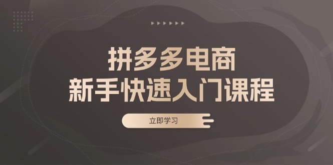 拼多多电商新手快速入门课程：涵盖基础、实战与选款，助力小白轻松上手-创业资源网