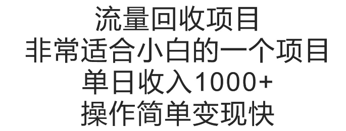 流量回收项目，非常适合小白的一个项目单日收入多张，操作简单变现快-创业资源网