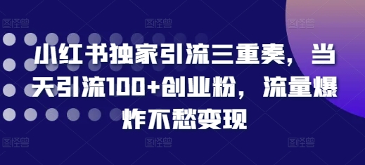 小红书独家引流三重奏，当天引流100+创业粉，流量爆炸不愁变现【揭秘】-创业资源网