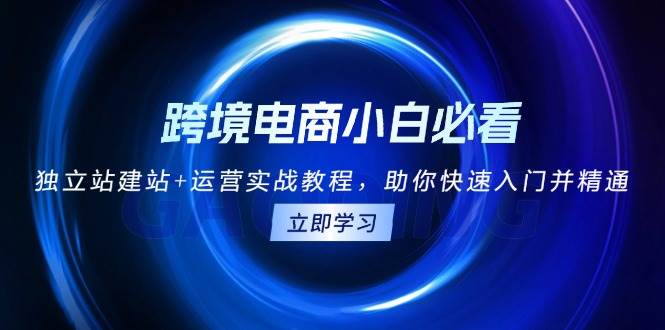 跨境电商小白必看！独立站建站+运营实战教程，助你快速入门并精通-创业资源网