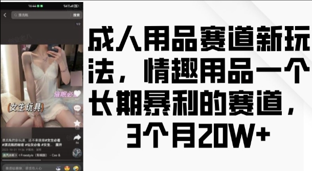 成人用品赛道新玩法，情趣用品一个长期暴利的赛道，3个月收益20个【揭秘】-创业资源网