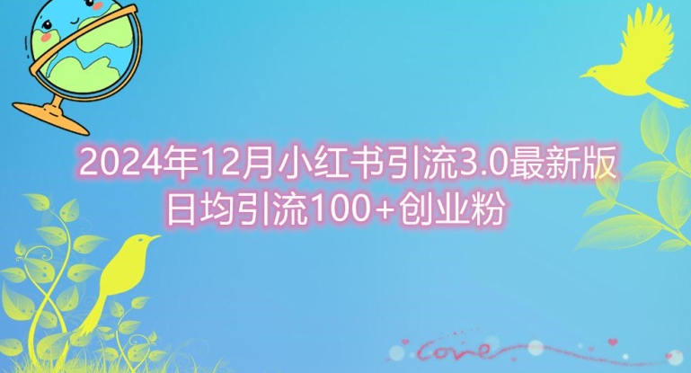 2024年12月小红书引流最新版，日均引流100+创业粉-创业资源网