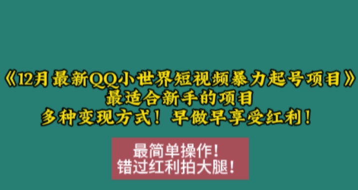 12月最新QQ小世界短视频暴力起号项目，最适合新手的项目，多种变现方式-创业资源网