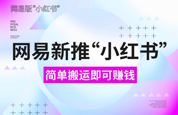 网易官方新推“小红书”，搬运即有收益，新手小白千万别错过(附详细教程)【揭秘】-创业资源网