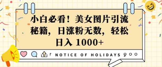 小白必看，美女图片引流秘籍，日涨粉无数，轻松日入几张【揭秘】-创业资源网