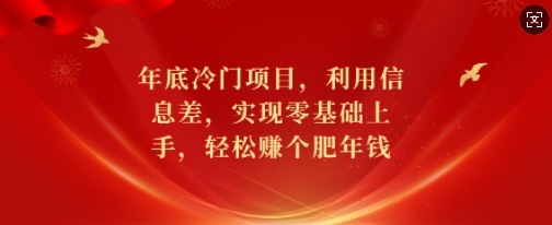 年底冷门项目，利用信息差，实现零基础上手，轻松赚个肥年钱【揭秘】-创业资源网