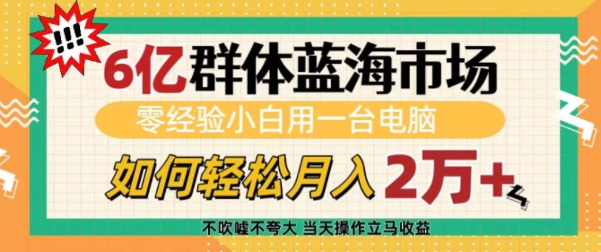 6亿群体蓝海市场，零经验小白用一台电脑，如何轻松月入过w【揭秘】-创业资源网