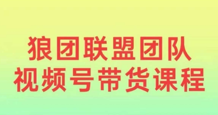 狼团联盟2024视频号带货，0基础小白快速入局视频号-创业资源网