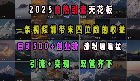 2025自热引流天花板，一条视频能带来四位数的收益，引流+变现双管齐下，日引500+创业粉，涨粉嘎嘎猛-创业资源网