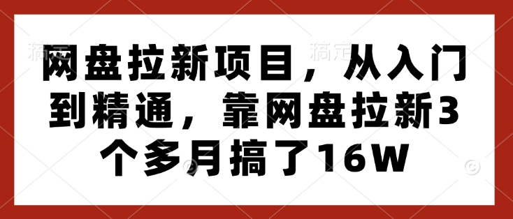 网盘拉新项目，从入门到精通，靠网盘拉新3个多月搞了16W-创业资源网