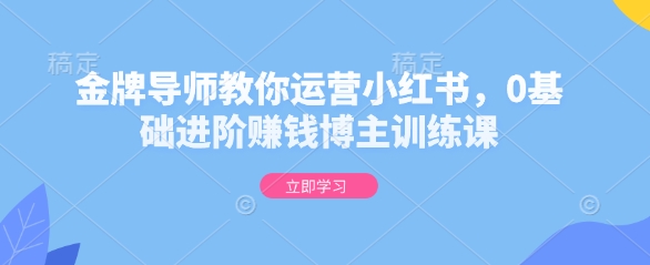 金牌导师教你运营小红书，0基础进阶赚钱博主训练课-创业资源网