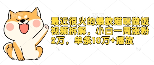 最近很火的爆款猫咪做饭视频拆解，小白一周涨粉2万，单条10万+播放(附保姆级教程)-创业资源网