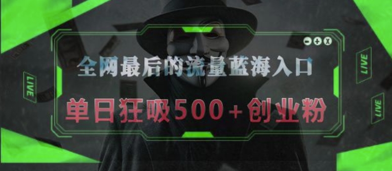 全网最后的流量蓝海入口，半小时引流50+创业粉，单日狂吸500+创业粉-创业资源网