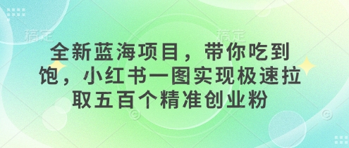 全新蓝海项目，带你吃到饱，小红书一图实现极速拉取五百个精准创业粉-创业资源网