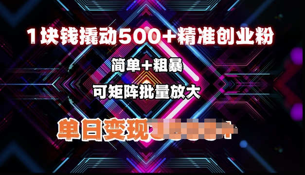 低价撬动500+精准创业粉，简单、粗暴、批量放大，单日变现多张-创业资源网