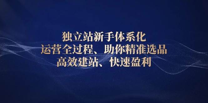 独立站新手体系化 运营全过程，助你精准选品、高效建站、快速盈利-创业资源网