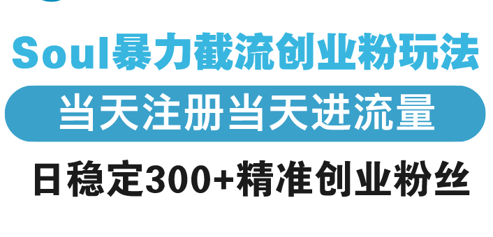 Soul暴力截流创业粉玩法，当天注册当天进流量，日稳定300+精准创业粉丝-创业资源网