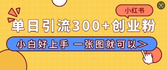 小红书单日引流300+创业粉，“简单粗暴”引流法，小白好上手，私信回不完-创业资源网