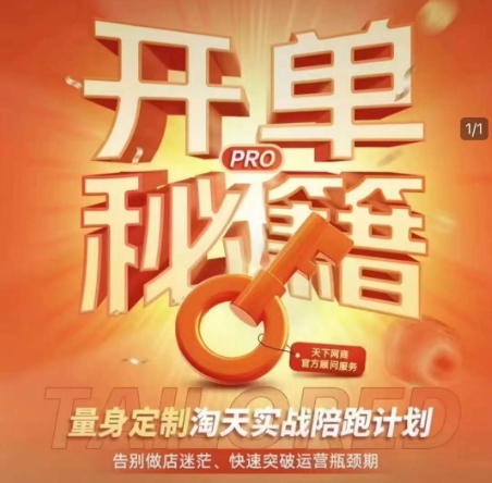 淘宝开单秘籍PRO，量身定制淘天实战陪跑计划，告别做店迷茫、快速突破运营瓶颈期-创业资源网