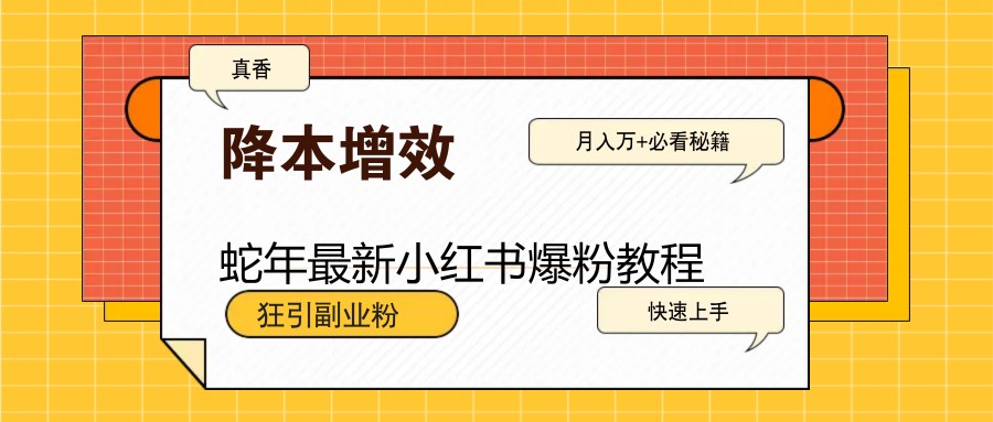 蛇年全新小红书的涨粉实例教程，狂引第二职业粉，月入万 必读-创业资源网