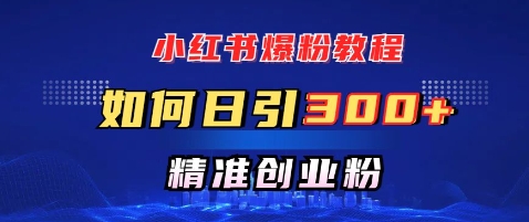 小红书的涨粉实例教程，怎样日引300 自主创业粉，迅速进行精准转现-创业资源网