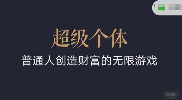 超级个体2024-2025逆风翻盘手册，平常人创造价值的无限恐怖游戏-创业资源网