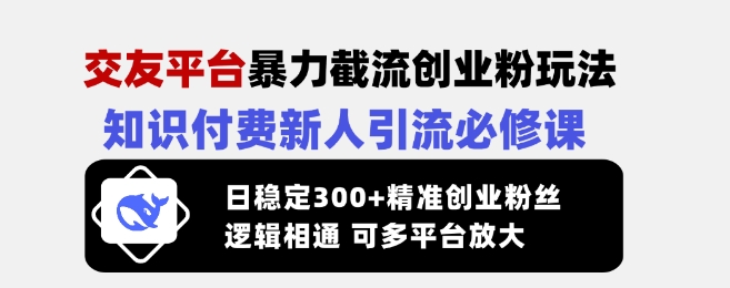 交友网站暴力行为截留自主创业粉游戏玩法，社交电商新手引流方法必修课程，日平稳300 精确自主创业粉丝们，逻辑性互通可全平台变大-创业资源网