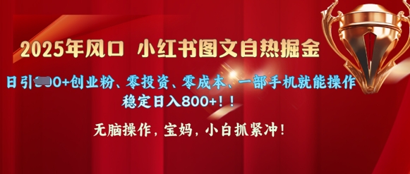25年出风口小红书的图文并茂掘金队，日引300 自主创业粉、零投资、零成本、一部手机就能实际操作-创业资源网