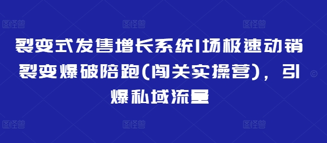 裂变开售提高系统软件1场急速促销裂变式工程爆破陪跑(冲关实际操作营)，点爆私域流量池-创业资源网