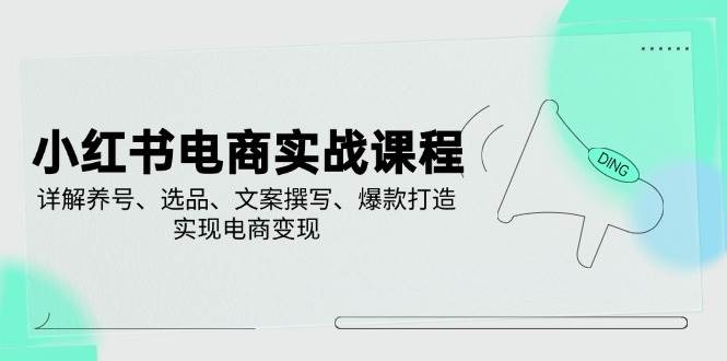 小红书电商实战课程，详解养号、选品、文案撰写、爆款打造，实现电商变现-创业资源网
