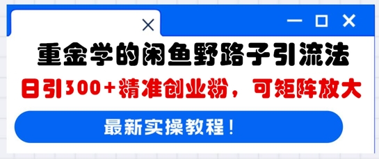 巨资学得闲鱼平台歪门邪道引流法，日引300 精确自主创业粉，可引流矩阵变大-创业资源网