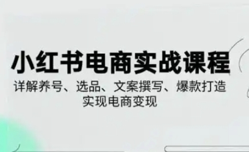 小红书从0-1实操课(2023-2025)，详解养号、选品、文案撰写、爆款打造实现电商变现-创业资源网