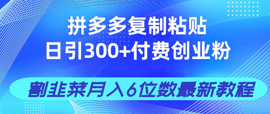 拼多多复制粘贴日引300+付费创业粉，割韭菜月入6位数最新教程！-创业资源网
