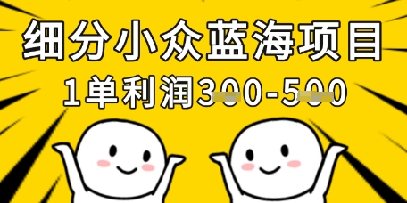 细分化冷门蓝海项目，一单利润3张，每月工作稳定过1w-创业资源网