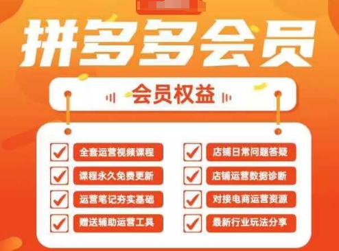2025拼多多运营实战演练课，40节全过程课堂教学，遮盖拼多多运营全链路营销-创业资源网