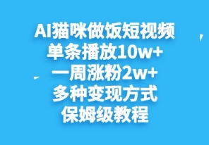 AI猫猫煮饭小视频，一条播放视频10w ，一周升分2w ，多种多样变现模式，家庭保姆级实例教程-创业资源网