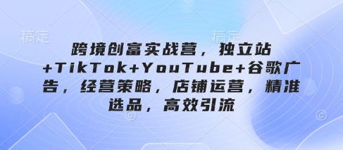 跨境电商财富实战营，自建站 TikTok YouTube 谷歌广告，经营模式，店铺管理，精确选款，高效率引流方法-创业资源网