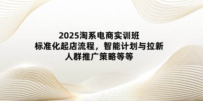 2025淘宝电子商务实培训班：规范化出单步骤，智能化计划和引流，群体营销推广策略等-创业资源网