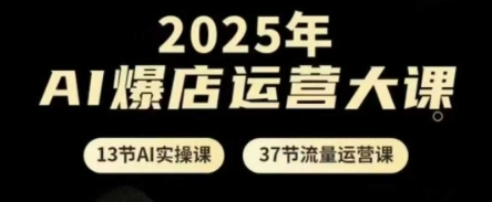 2025年AI爆店运营大课，13节AI实操课+37节流量运营课-创业资源网