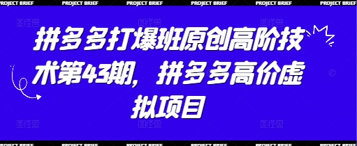 拼多多平台打穿班原创设计高级技术性第43期，拼多多平台高价位虚拟资源项目-创业资源网