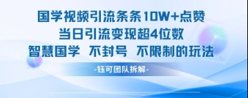 国学视频引流管条10W 关注点赞当日引流变现超4个数-创业资源网