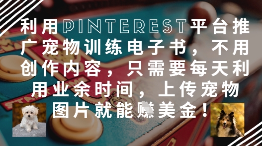 运用Pinterest产品推广宠物培训电子书籍，无需创作内容，只需要每天在业余时间，提交宠物图片就能赚美元!-创业资源网
