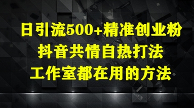 日引流方法500 精确自主创业粉，抖音视频同理心自然玩法，个人工作室都在用的方式-创业资源网