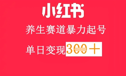 小红书的健康养生跑道，暴力行为养号，轻轻松松日入3张-创业资源网